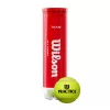 Teniszlabda 4 db sárga Wilson Team W