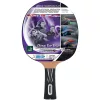 Pingpong ütő – Donic Top Team 800 