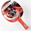 Pingpongütő – Donic Waldner 600