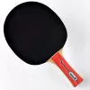 Pingpongütő – Donic Waldner 600
