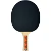Ping-pong ütő - Donic Champs Line 200 Series