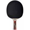 Ping-pong ütő - Donic Legends 600 FSC