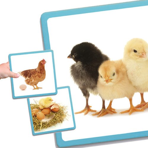 A természet csodái (sorozatalkotás) AKROS