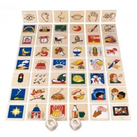 Érzékszervek BELEDUC