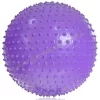 Gimnasztikai labda tüskés masszázs lila 75 cm - PRO-Sport