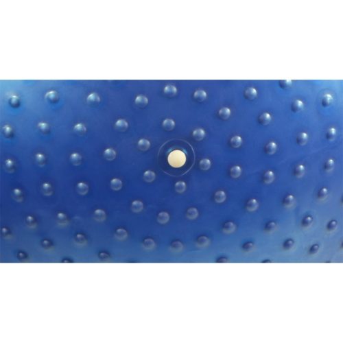 Gimnasztikai labda, tüskés, érzékelő labda, 55cm, kék, pumpával,  EB-Fit