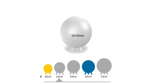 Gimnasztikai labda lábakkal 55 cm gyöngyház – Gymnic Fit-Ball
