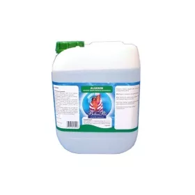 Algaölő folyadék 5 liter – ALGENIN