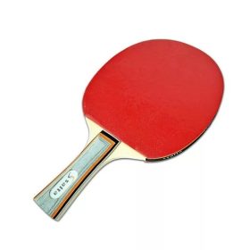 Pingpongütő – Salta Racket