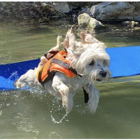 Mentőmellény kutyák számára több méretben