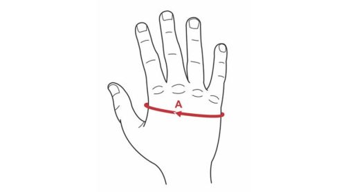 Bandázs kesztyű, gumírozott – TREMBLAY JUNIOR