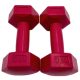 Kézisúlyzó 2x1 kg pink EB-Fit