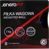 Súlylabda (Toning Ball) 1 kg – királykék, ENERO Fit