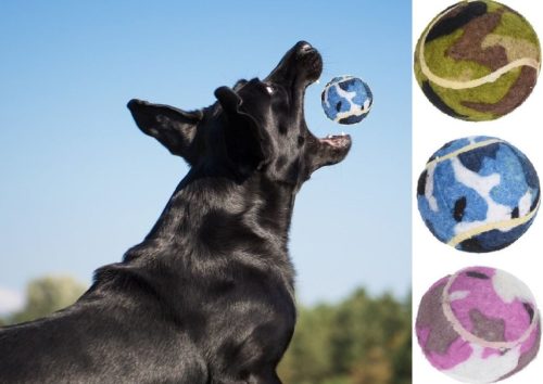 Kutyalabda szett 3 db-os – Dog Toy